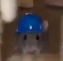 Base Rat